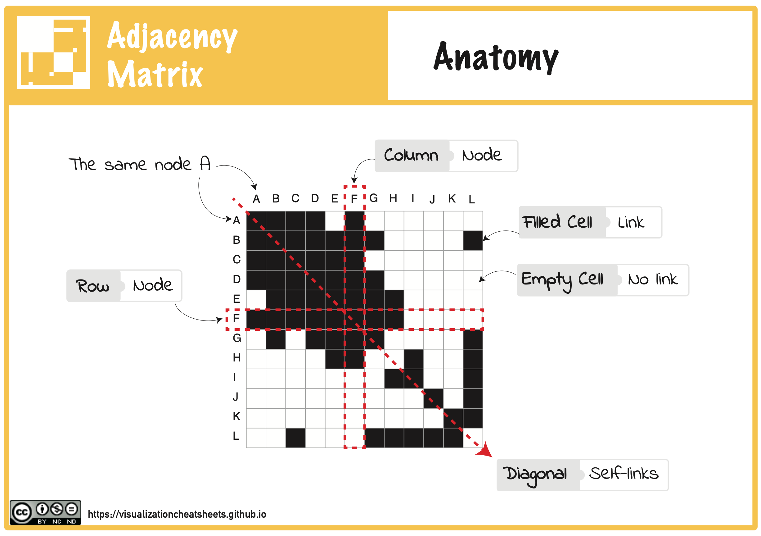 Anatomy